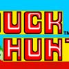 Vs Duck Hunt marquee